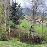 Im Oberallgaeu Mit Grossem Pool, Bettwaesche, Handtuecher, Endreinigung, Kurtaxe Inklusive Apartmán Missen-Wilhams