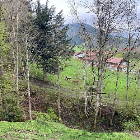 Im Oberallgaeu Mit Grossem Pool, Bettwaesche, Handtuecher, Endreinigung, Kurtaxe Inklusive Apartman Missen-Wilhams