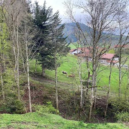 Apartman Im Oberallgaeu Mit Grossem Pool, Bettwaesche, Handtuecher, Endreinigung, Kurtaxe Inklusive Missen-Wilhams